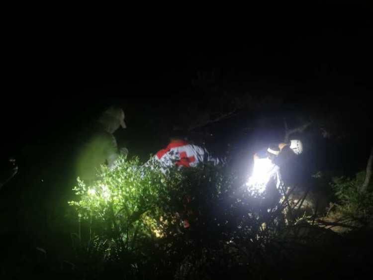  当晚|四人一狗被困三标山，饥渴难耐！救援队砍刀开路，连夜搜救