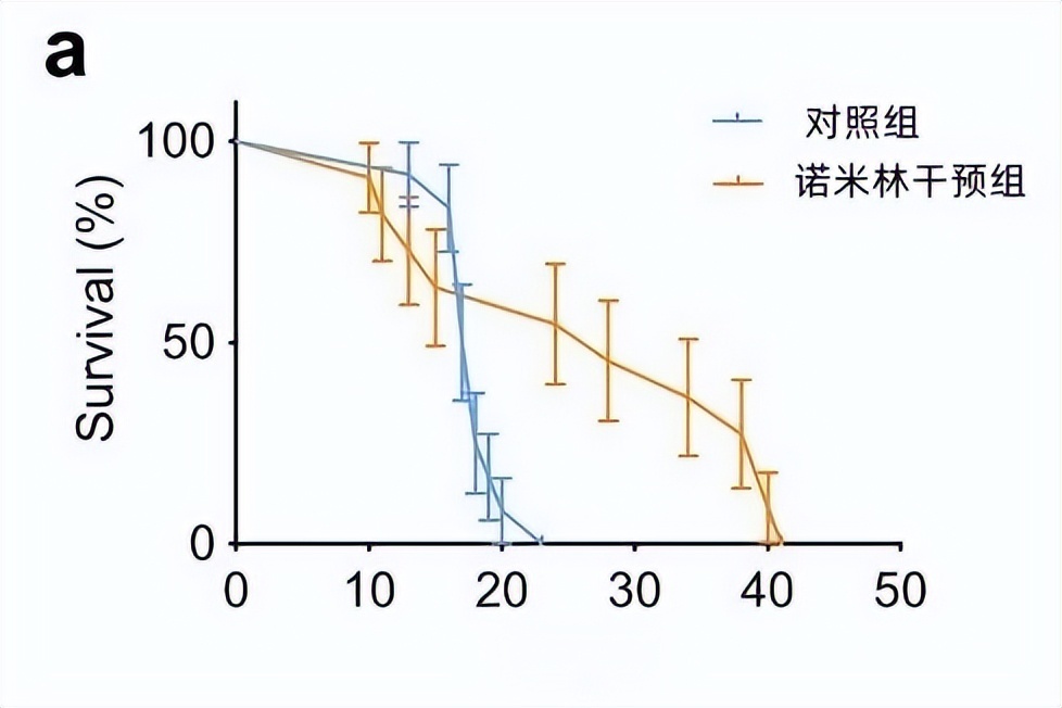 科学家橘皮中发现延寿50%神奇物质！研究人员却提醒：别开心太早2023