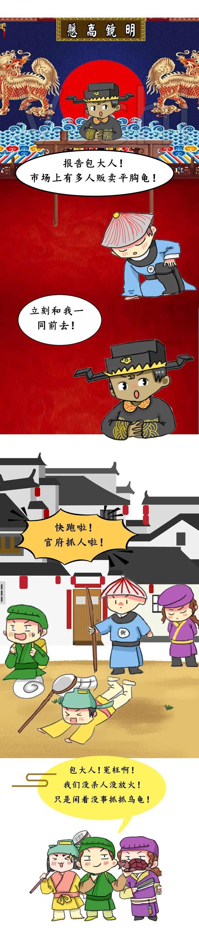 触犯|萌妞普法︱买龟?卖龟?触犯法律,铁定要亏!