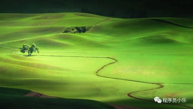  数据|是什么让我放弃了Restful API？