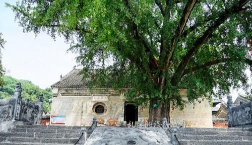  寺院|河南最低调寺庙 皇帝亲自护法 罕见“接官厅”国内寺院独此一处！