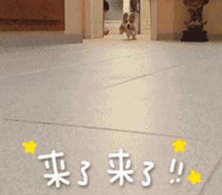 苏州|刚刚！苏州这一幕燃爆了！