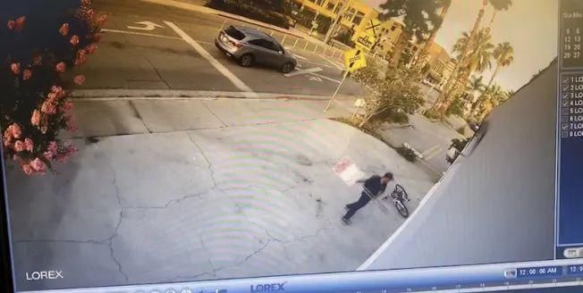 杨连慧|黑人小伙抢劫华人！不料对方是世界拳王！被暴揍落荒而逃 !