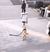 盾牌|搞笑GIF趣图：兄弟，你不如买个盾牌得了，吓成这样