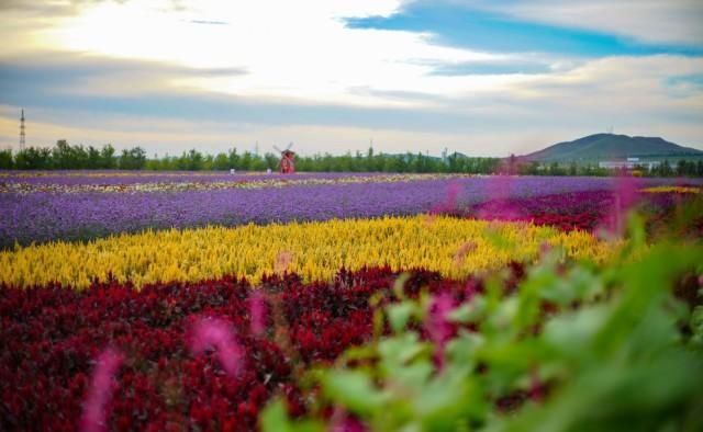 自驾游|一份颠覆你对内蒙传统印象的自驾游攻略,原来内蒙的美远不止草原