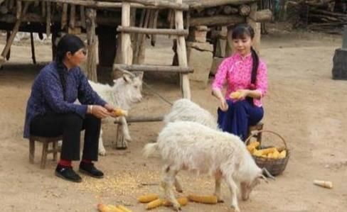  国家一级|国家一级演员王二妮：因买不起房，回到农村种田生活，现在放羊带娃是日常