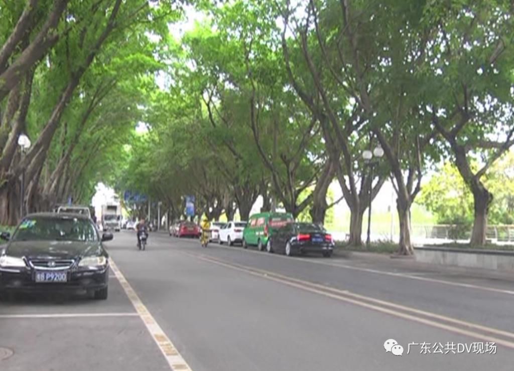  空调休息|女子躺在车里小憩，却再也没醒来...夏季高发！