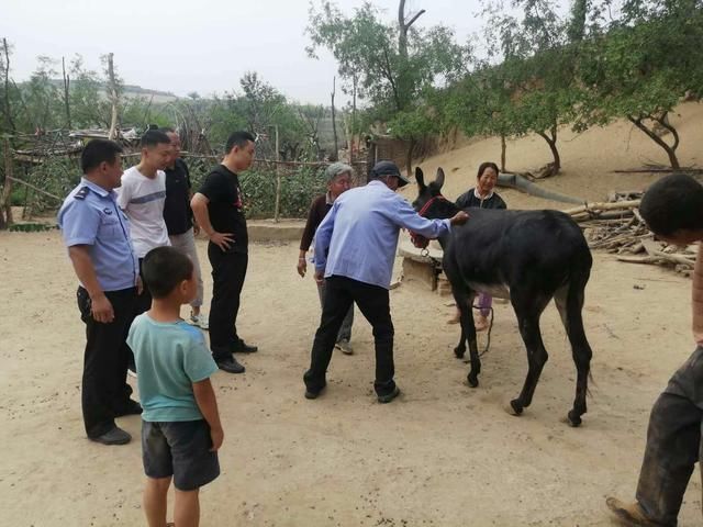  民警|民警“寻驴”解民忧