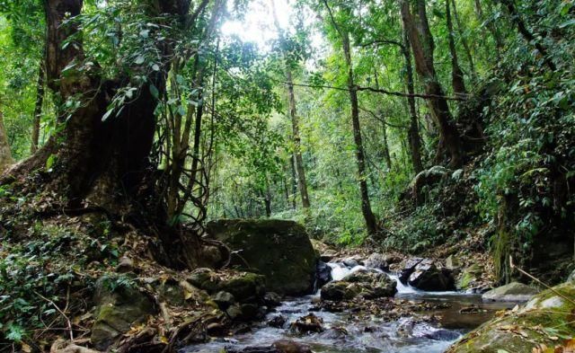 生长|云之南，一个生生不息、万物生长的地方