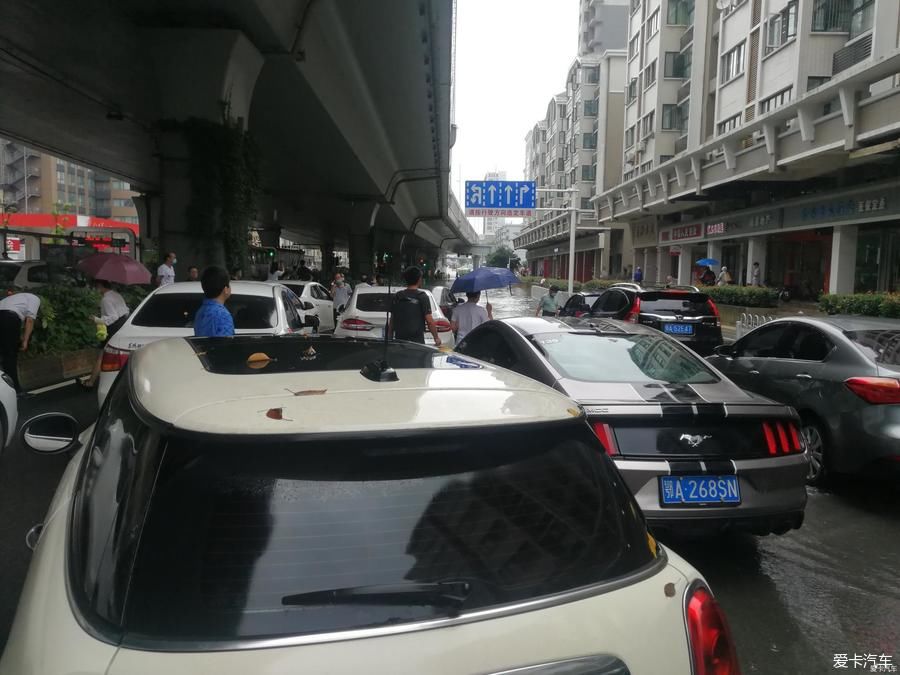  历史|明天凌晨武汉经过历史第三的洪峰