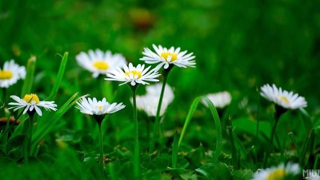  担当|喜欢去推卸责任的3星座，没有担当，害怕被指责