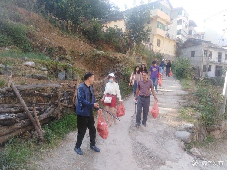 县城|柞水洁净文明县城环境“现在进行时”