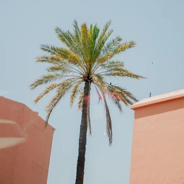  shui|陈燕：光不度，shui水成文