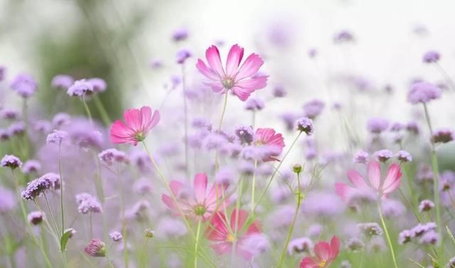  理智|人生感悟：越是在这三件事上“绝情”的人，越有福气