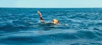  妈妈|“他去世的时候，他妈妈正在发朋友圈！”