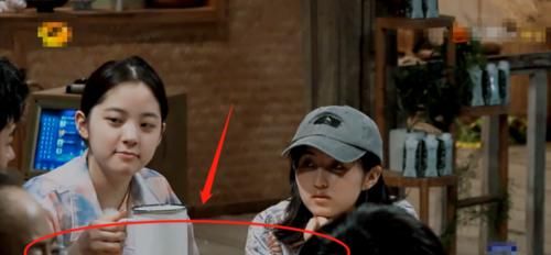 说漏嘴|《向往的生活》再次换人!张子枫换成了她?黄磊不慎说漏嘴!