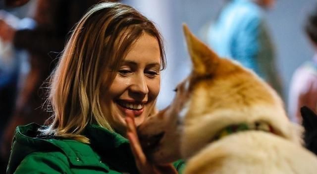  担心|狗对每个人都看得很好，他把他们都当作主人吗？别担心