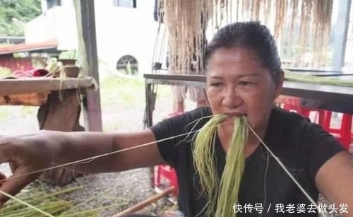 享誉|农民叫它白片儿,是“麻”的前身,五千年前,用它做衣服享誉世界