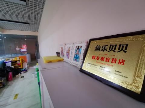鱼乐|Qing调查丨全国多家鱼乐贝贝门店失联 公司运营部却仍在招商