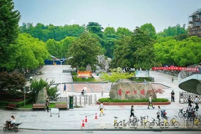 沿途|全自动无人驾驶的五号线要来了！沿途还有这些好玩的