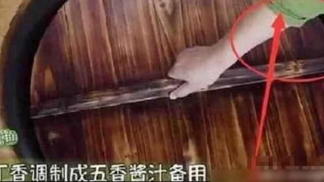  穿帮|穿帮了？《向往的生活》遭质疑替身做饭，导演仅用八字就解除危机