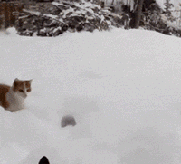  老公|我说我不玩老公非要我玩，最近不能看喜剧了，嘴巴肿了一笑就裂开