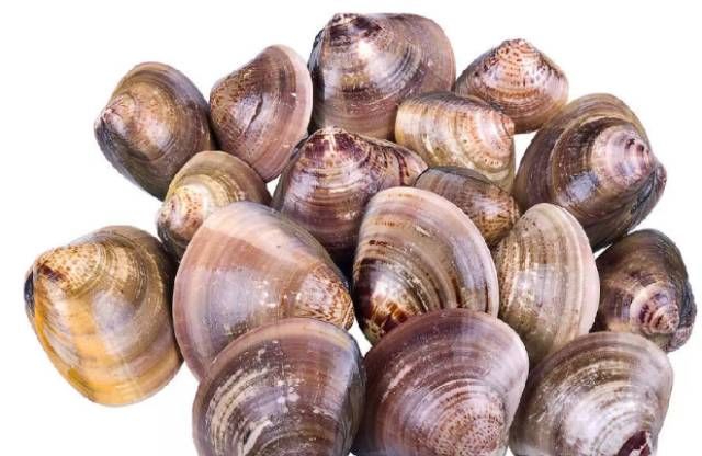 今日|今日开海!这84种海鲜,你都认识吗?你真的会吃海鲜吗?