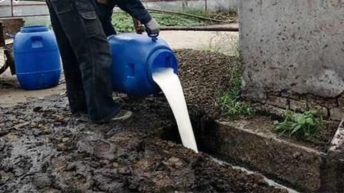 质疑|老板免费送工人隔夜面包，遭网友质疑吐槽：宁愿扔掉也不能送人