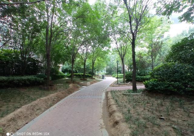  老年|被低估的大屏老年机：Redmi 10X开箱和轻体验