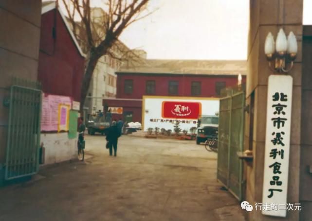 快乐|北冰洋回来了,你的快乐回来了吗?