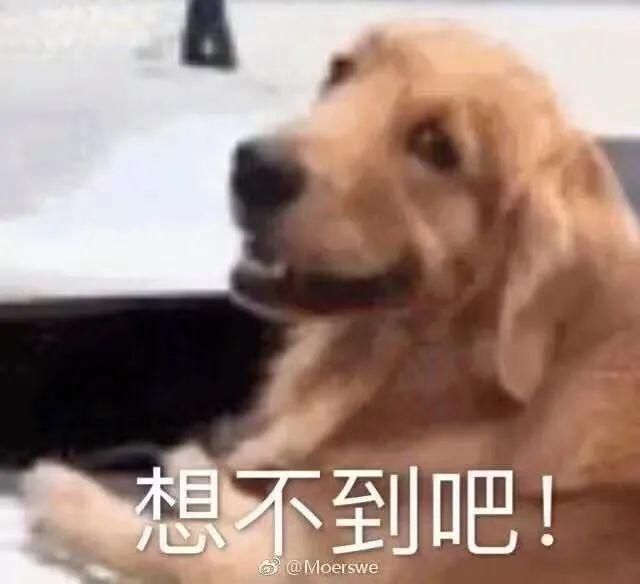 支付密码|手机摇一摇，摇来的女网友竟是……厦门一男子被拉黑之后，报警求助