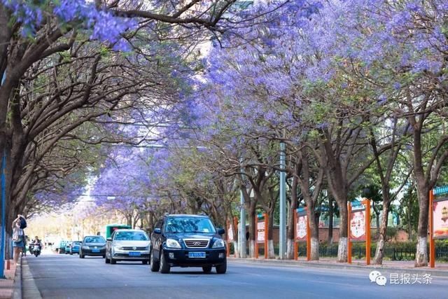  昆明|“进度条”来啦！昆明62条道路8月底前完成整治