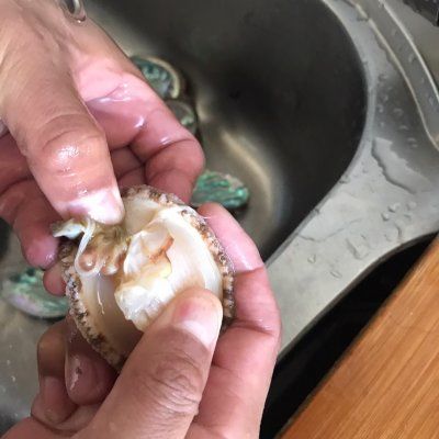 骨骼|冬天关注骨骼健康你需要这道红烧鲍鱼