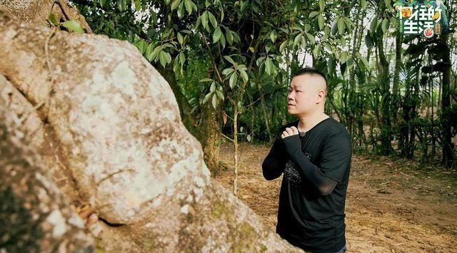  巅峰|不断被贬低的《向往4》，恰恰是这一综艺的巅峰