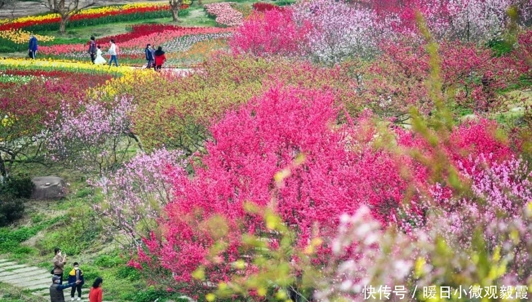  浅谈|浅谈秀丽东方IP对成都公园城市建设的借鉴作用