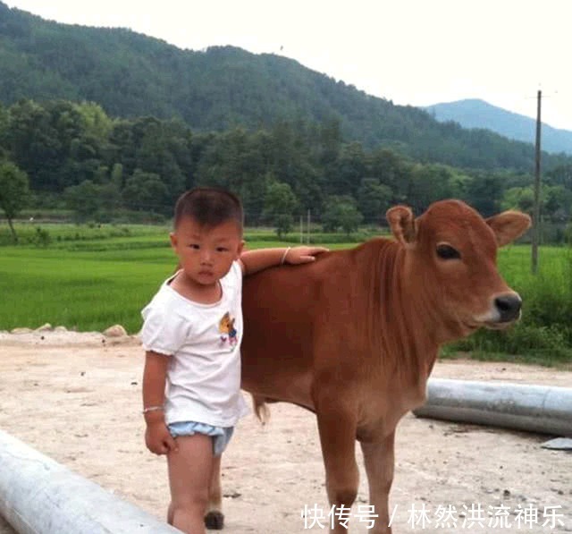  孩子|儿子去奶奶家过暑假，一周后奶奶传来儿子照片，妈妈差点没认出