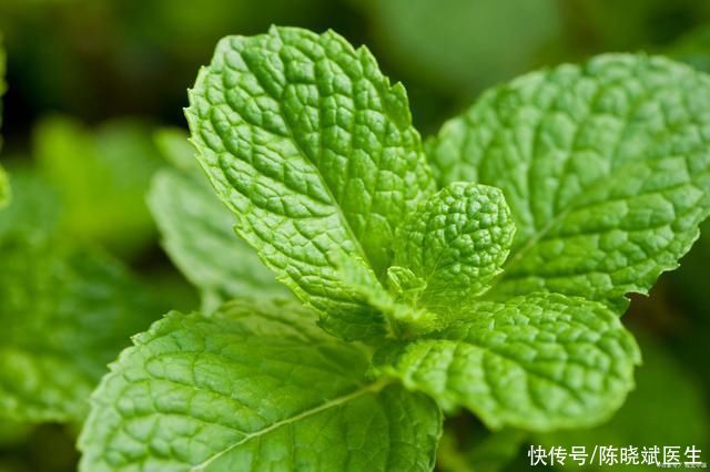 牙疼怎么缓解牙齿痛得撕心裂肺(牙齿痛得“撕心裂肺”?中医:送你2味中药，消除红肿、缓解牙痛)