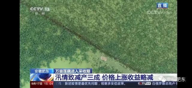  肥东|震撼！肥东霸屏央视！惊艳全国！这次是因为……