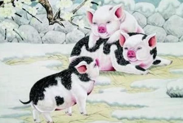 贵人|猪猪猪猪：10月多“留意”这个人，是你未来3个月的大贵人！