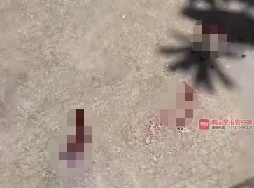  摊位|因摊位纠纷，北海3名摊贩持菜刀铁棍当街互殴