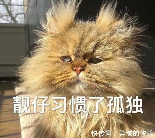 手镯|幽默笑话:大师,你这个手镯我很喜欢,多少钱,卖给我吧