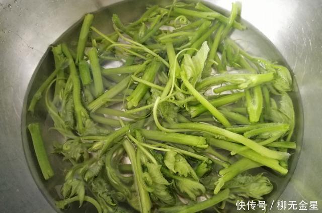 特别|这菜是个宝,可惜很多人不懂扔掉了,清热解暑,清脆爽口,正当季