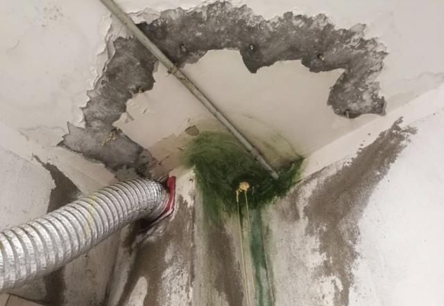  吴女士|漏！漏！漏！闵行新房报修三年多没修好，顶上竟长出青苔