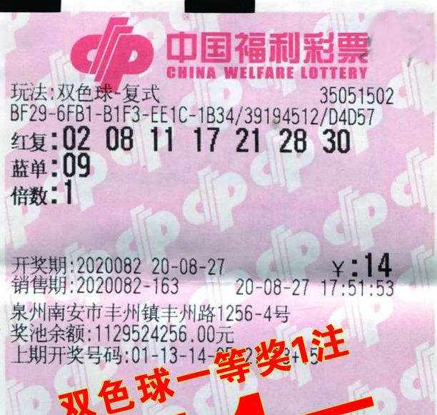 大奖|佛系守号 泉州90后小伙中得双色球511万元大奖
