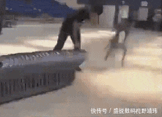 到底|搞笑GIF:美女别再拍了,饭到底还做不做了