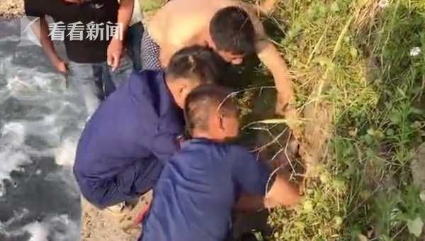  岸边|男童溪里游泳突然“消失” 岸边涵洞却伸出一只手