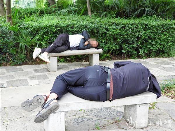长椅|【不文明行为随手拍】躺在长椅上睡觉太不雅观