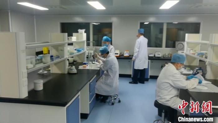  通报|警方通报来某某案破案过程：查6000小时监控视频 38车污秽物