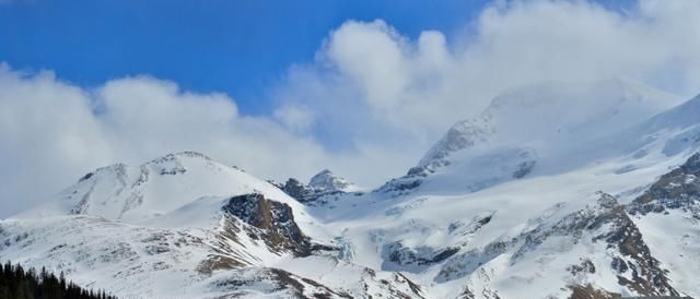  哭哭啼啼|8月，哭哭啼啼，心软回头，3生肖纠缠旧情人，于情于理舍弃不下你