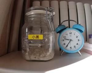 小结|100%天然酵种/鲁邦种法棍小结(18.12-19.05)